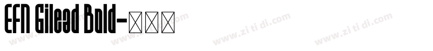 EFN Gilead Bold字体转换